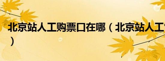 北京站人工购票口在哪（北京站人工售票在哪）