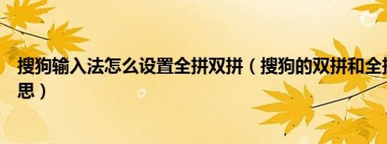 搜狗输入法怎么设置全拼双拼（搜狗的双拼和全拼是什么意思）