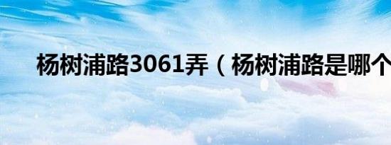 杨树浦路3061弄（杨树浦路是哪个区）