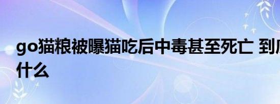 go猫粮被曝猫吃后中毒甚至死亡 到底发生了什么