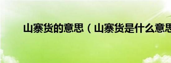 山寨货的意思（山寨货是什么意思）
