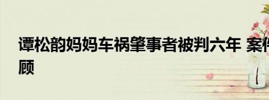 谭松韵妈妈车祸肇事者被判六年 案件细节回顾