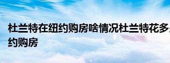杜兰特在纽约购房啥情况杜兰特花多少钱在纽约购房