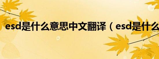 esd是什么意思中文翻译（esd是什么意思）