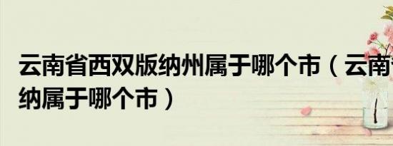 云南省西双版纳州属于哪个市（云南省西双版纳属于哪个市）