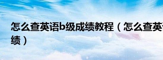 怎么查英语b级成绩教程（怎么查英语B级成绩）