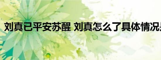 刘真已平安苏醒 刘真怎么了具体情况是什么