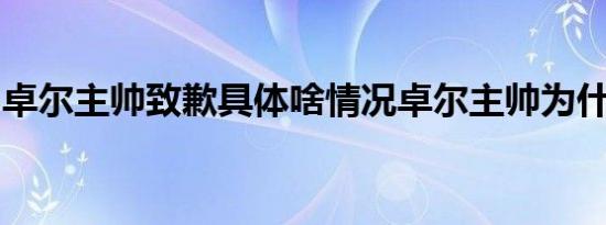 卓尔主帅致歉具体啥情况卓尔主帅为什么致歉
