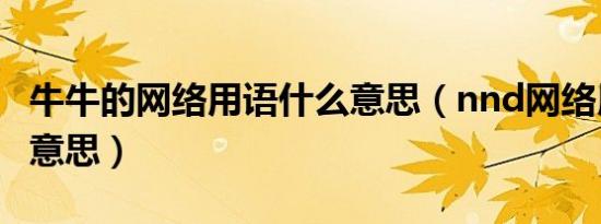 牛牛的网络用语什么意思（nnd网络用语什么意思）