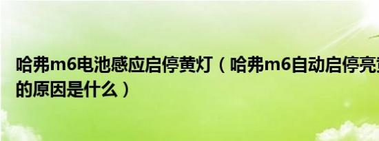 哈弗m6电池感应启停黄灯（哈弗m6自动启停亮黄灯不工作的原因是什么）