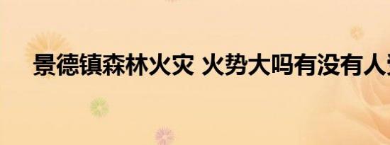 景德镇森林火灾 火势大吗有没有人受伤