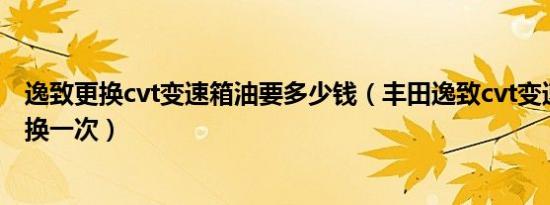 逸致更换cvt变速箱油要多少钱（丰田逸致cvt变速箱油多久换一次）