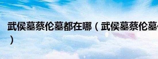 武侯墓蔡伦墓都在哪（武侯墓蔡伦墓位于哪里）