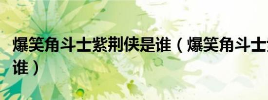 爆笑角斗士紫荆侠是谁（爆笑角斗士紫荆侠是谁）
