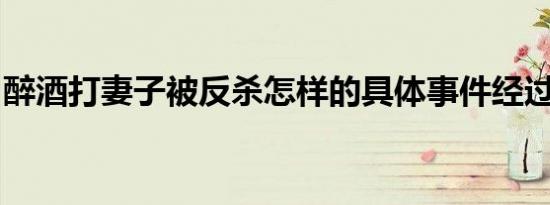 醉酒打妻子被反杀怎样的具体事件经过是什么