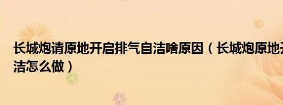 长城炮请原地开启排气自洁啥原因（长城炮原地开启排气自洁怎么做）