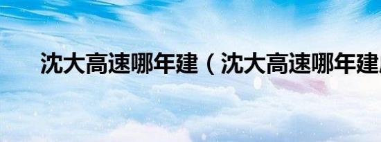 沈大高速哪年建（沈大高速哪年建成）