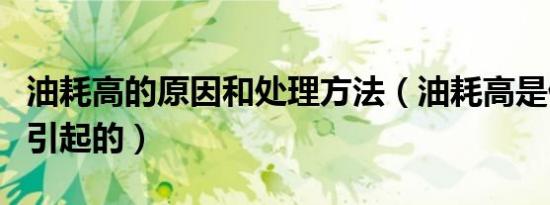 油耗高的原因和处理方法（油耗高是什么原因引起的）