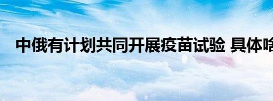 中俄有计划共同开展疫苗试验 具体啥情况