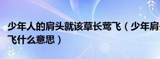 少年人的肩头就该草长莺飞（少年肩头草长莺飞什么意思）