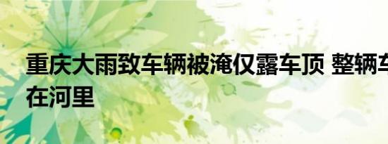 重庆大雨致车辆被淹仅露车顶 整辆车犹如泡在河里