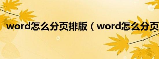 word怎么分页排版（word怎么分页排版）