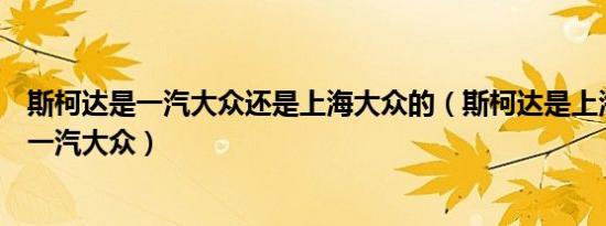 斯柯达是一汽大众还是上海大众的（斯柯达是上海大众还是一汽大众）