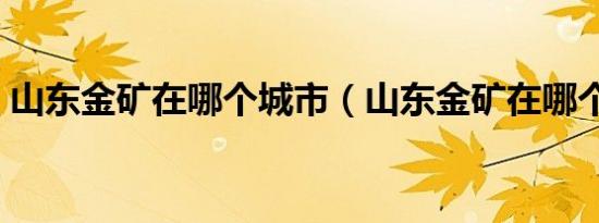 山东金矿在哪个城市（山东金矿在哪个城市）