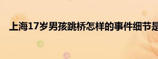 上海17岁男孩跳桥怎样的事件细节是什么