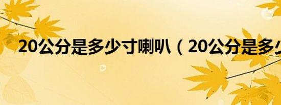 20公分是多少寸喇叭（20公分是多少寸）