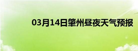 03月14日肇州昼夜天气预报