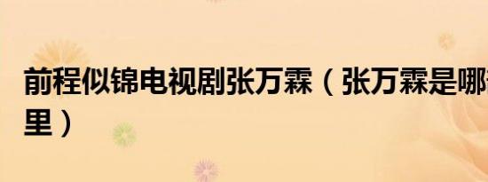 前程似锦电视剧张万霖（张万霖是哪部电视剧里）