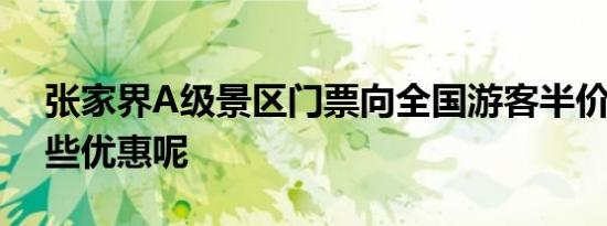 张家界A级景区门票向全国游客半价 还有哪些优惠呢