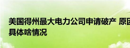 美国得州最大电力公司申请破产 原因是什么具体啥情况