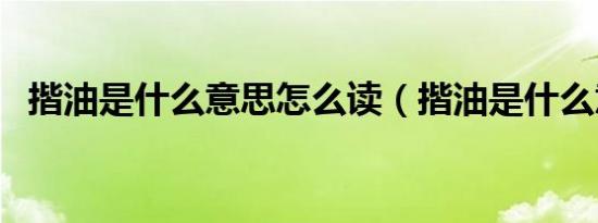 揩油是什么意思怎么读（揩油是什么意思）