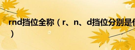 rnd挡位全称（r、n、d挡位分别是什么意思）