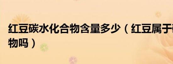 红豆碳水化合物含量多少（红豆属于碳水化合物吗）