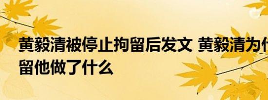 黄毅清被停止拘留后发文 黄毅清为什么被拘留他做了什么