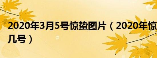 2020年3月5号惊蛰图片（2020年惊蛰是几月几号）
