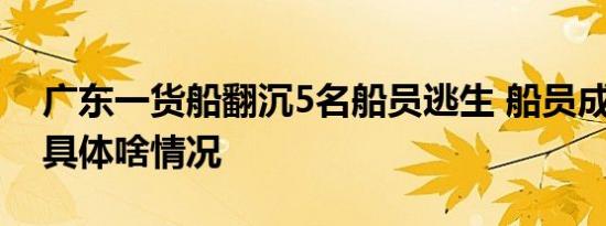广东一货船翻沉5名船员逃生 船员成功获救 具体啥情况
