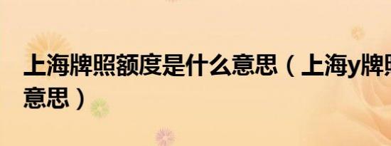 上海牌照额度是什么意思（上海y牌照是什么意思）