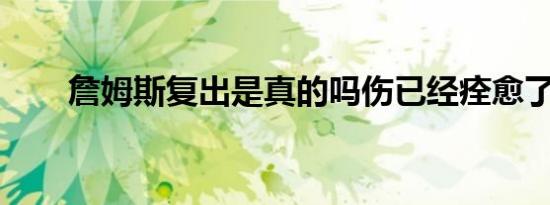 詹姆斯复出是真的吗伤已经痊愈了吗