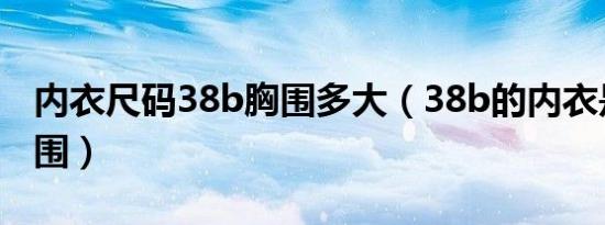 内衣尺码38b胸围多大（38b的内衣是多大胸围）