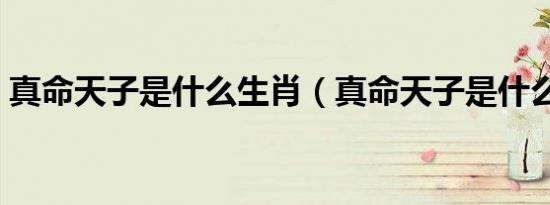 真命天子是什么生肖（真命天子是什么生肖）