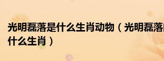 光明磊落是什么生肖动物（光明磊落的动物是什么生肖）