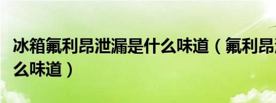 冰箱氟利昂泄漏是什么味道（氟利昂泄露有什么味道）
