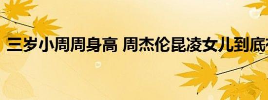 三岁小周周身高 周杰伦昆凌女儿到底有多高