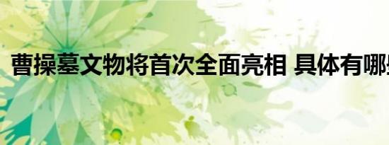 曹操墓文物将首次全面亮相 具体有哪些文物