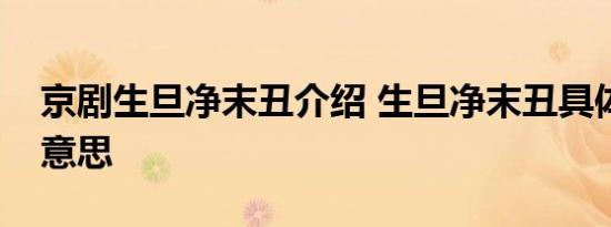 京剧生旦净末丑介绍 生旦净末丑具体是什么意思
