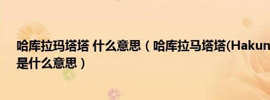 哈库拉玛塔塔 什么意思（哈库拉马塔塔(HakunaMatata)是什么意思）